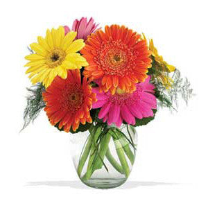 Gerbera Arrangement