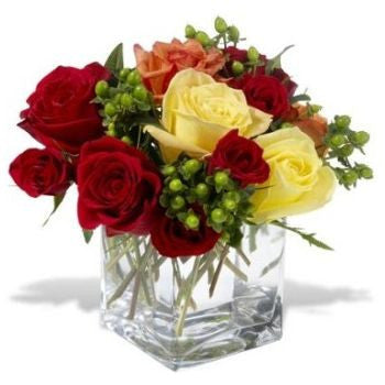 Carousel of Roses