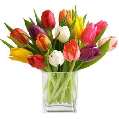 Tulip Vase Arrangement