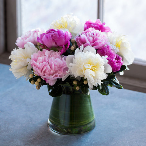 Peony Season of Joy