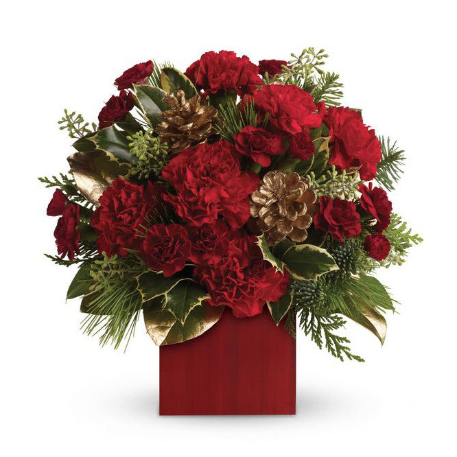 Carnation Holiday Arrangement