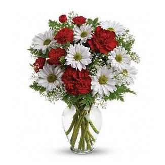 Daisy and Carnation Vase Arrangement