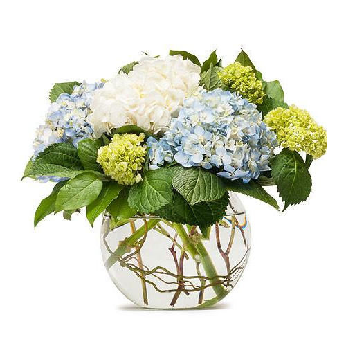 Classic Hydrangea  Arrangement