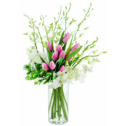 Tulip Dendrobium Splendor Arrangement