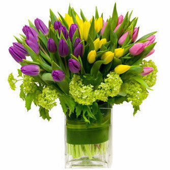 Tulip Fantasia Arrangement