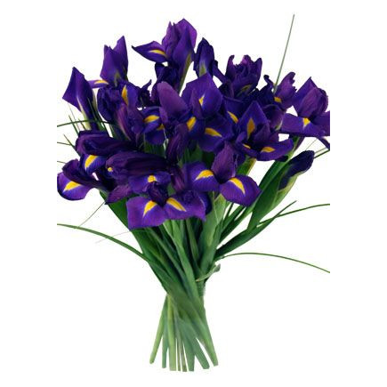 Blossom of Iris Bouquet