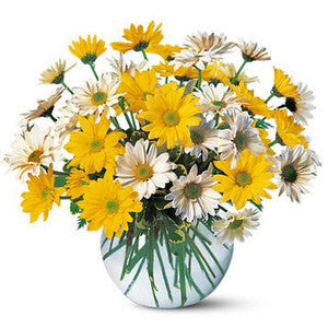 Cheerful Daisy Arrangement