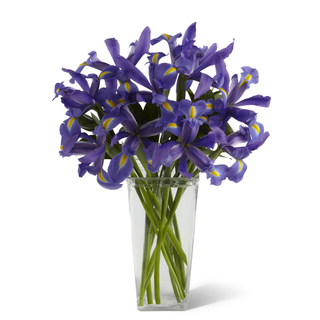 Copy of Iris Vase Arrangement