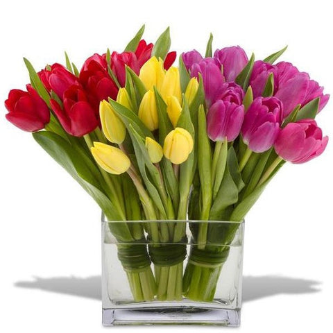 Vibrant Tulip Arrangement