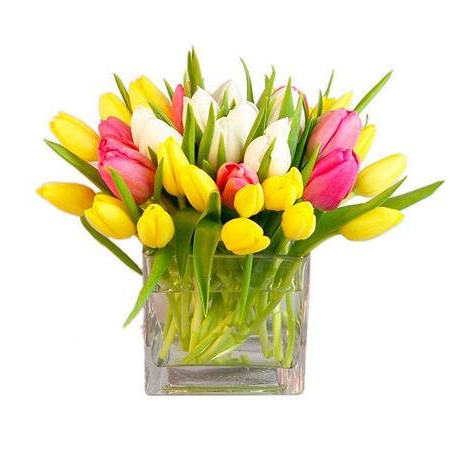 Simply Tulips Arrangement