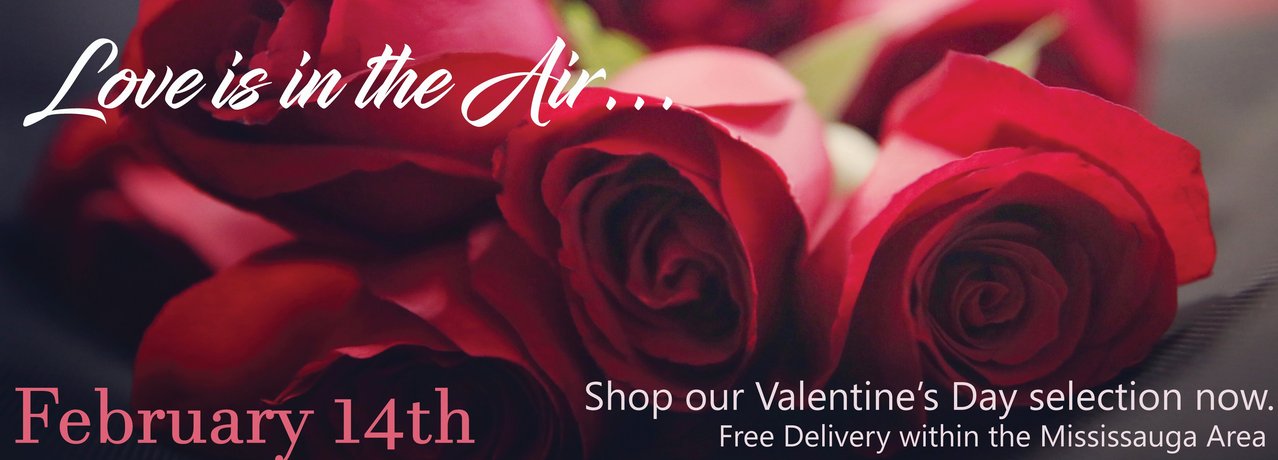 Shop our Valentine's Day selection now.