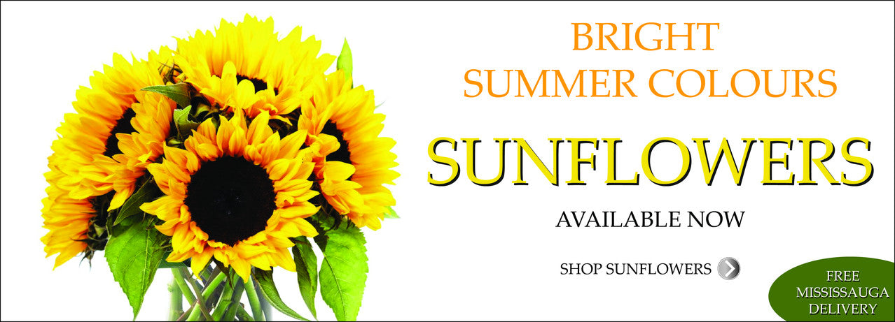 Brighten up anyone's day with Sunflowers